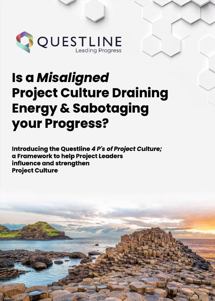 Identify the levers you can use to positively influence Project Culture.