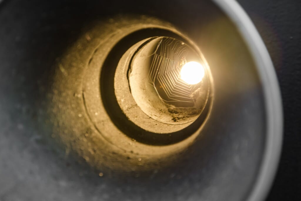 pexels-mali-maeder-70417-scaled.jpg?w=1024&h=683&scale pexels-mali-maeder-70417-scaled.jpg?w=1024&h=683&scale