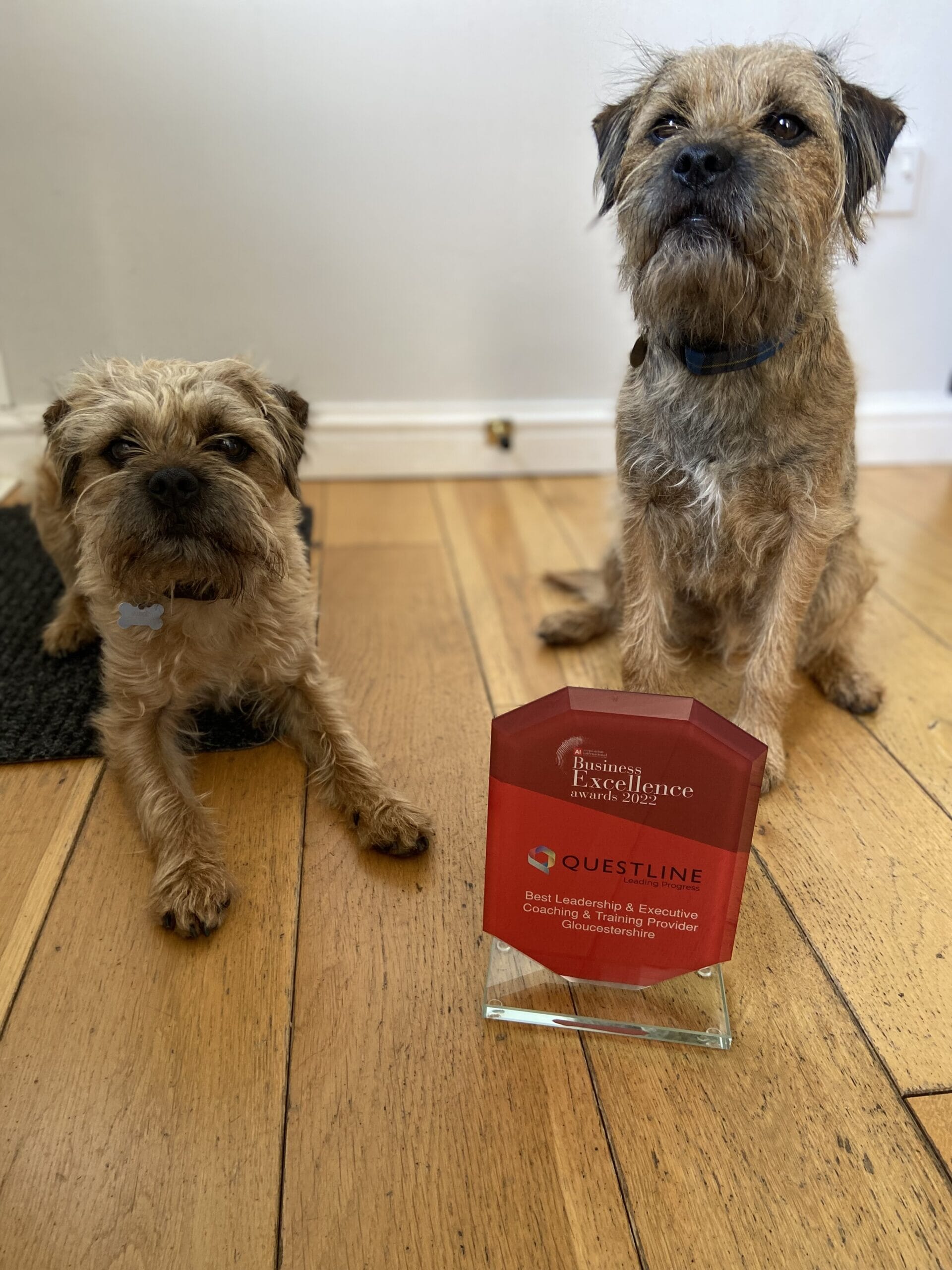 trophy-scaled.jpg?w=768&h=1024&scale